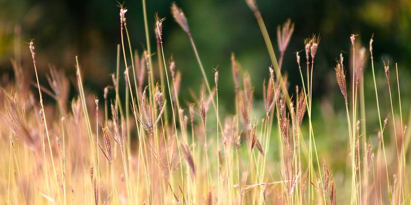 123窝窝：打造社区二手交易新风尚，让闲置物品重获新生