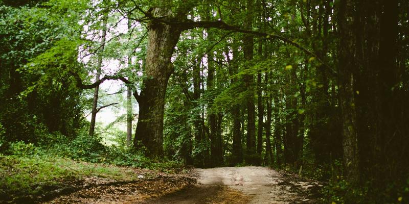 Z世代重塑本地商业：体验式消费与即时满足如何引爆家政服务、维修与二手交易新浪潮