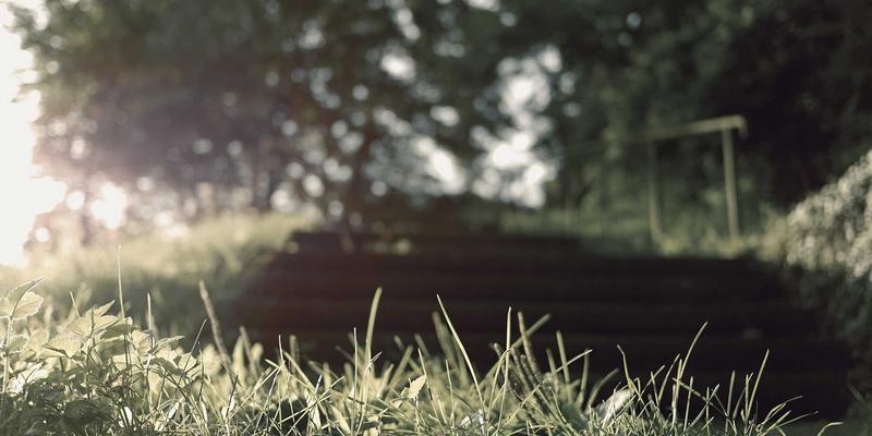 从便民信息到智慧生活:生活服务进阶如何重塑日常