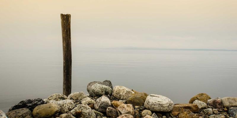 从社区公告到专业平台：家政服务与维修师傅的职业新路径