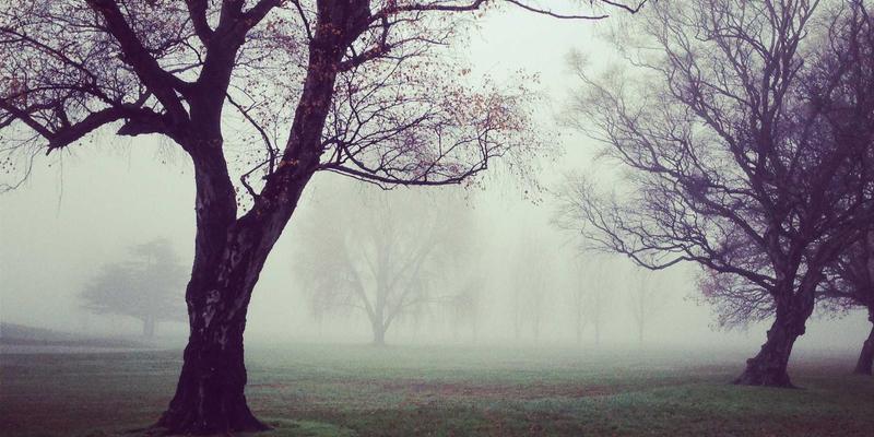 从社区公告到生鲜直达：社区团购如何用家政与维修服务重构邻里信任链