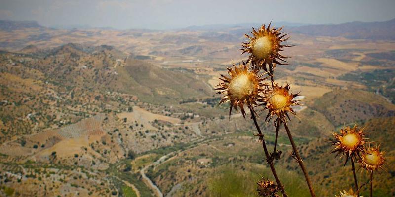 告别堆积如山！一线城市白领通勤时段快速洗衣解决方案，123窝窝提供专业生活服务