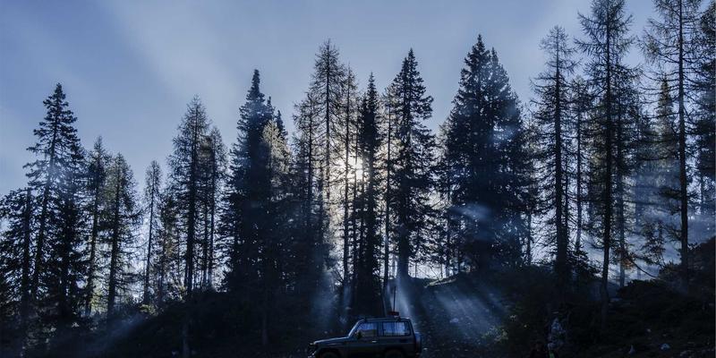 家庭应急维修不再难：揭秘123窝窝等专业维修与家政服务平台的选择标准