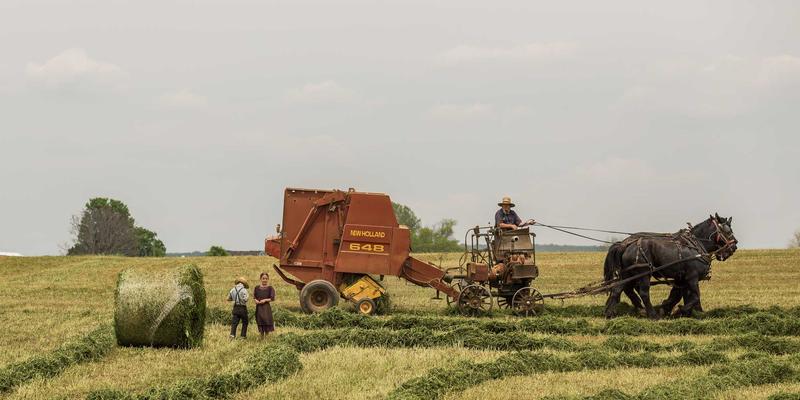 巧用123窝窝生活服务与社区公告，轻松规划完美周末亲子时光