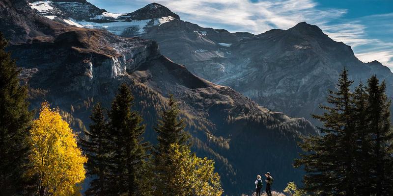 懒人经济新浪潮：月度鲜花、生鲜配送与自动补货如何重塑社区生活 | 便民信息与社区公告指南