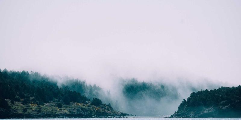 智慧社区新引擎：以123窝窝为例，解析生活服务数字化平台的机遇与实施路径