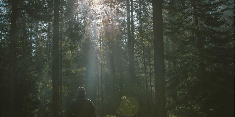 生活服务24小时在线:维修、家政与便民信息如何重塑现代生活