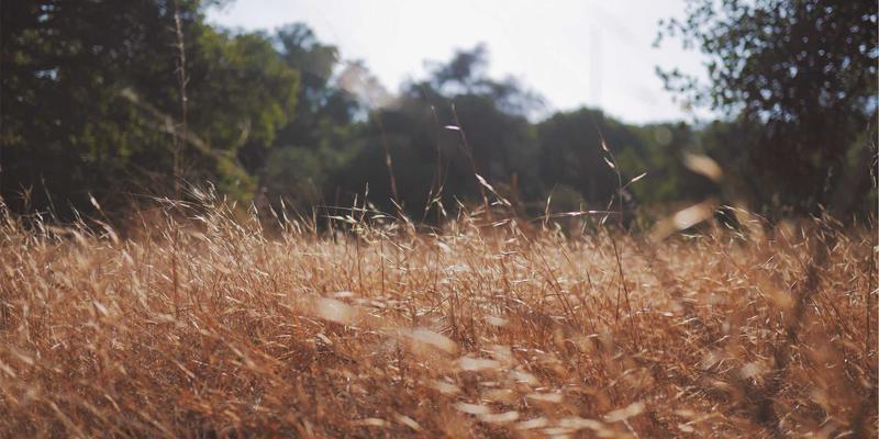 生活服务36：用好社区公告与便民信息，打造高效便捷的123窝窝社区生活