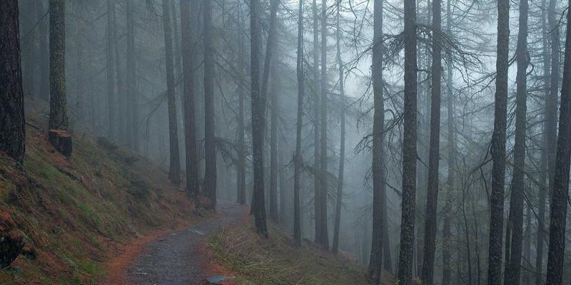 生活服务80：二手交易、家政服务与社区公告如何重塑邻里生态