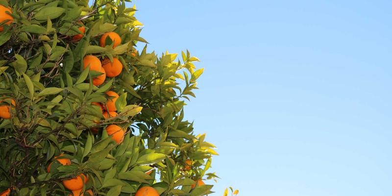 生活服务81:二手交易与便民信息如何重塑现代社区生活