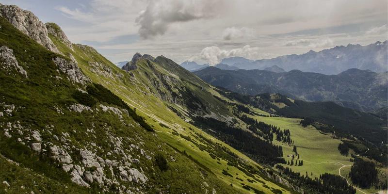 生活服务86：一站式便民信息、二手交易与社区公告平台指南