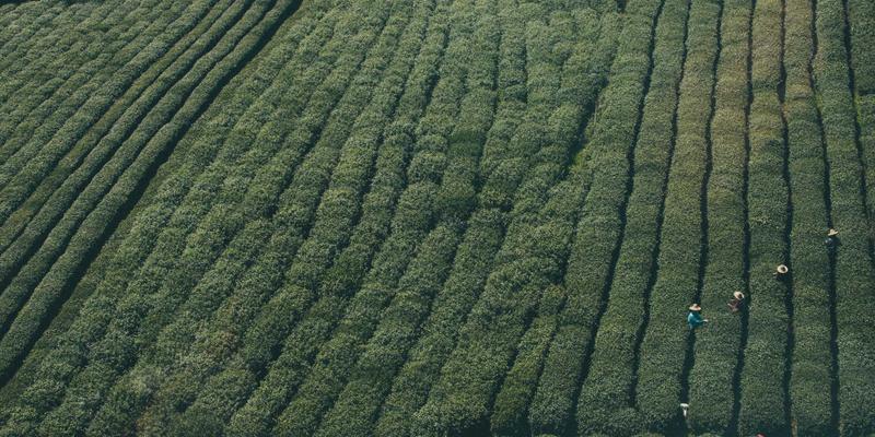 生活服务全攻略：巧用便民信息、社区公告与二手交易，打造高效便捷生活圈