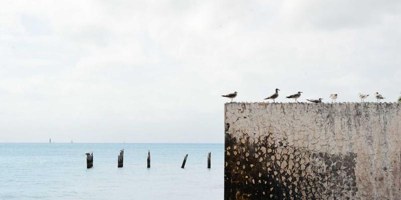 生活服务新趋势：二手交易、123窝窝与家政服务的融合升级