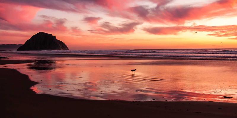 生活服务新选择：123窝窝如何重新定义现代家政服务