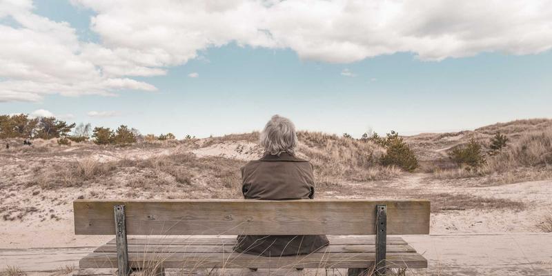 社区公告：宠物家庭应急服务指南——突发状况下的上门医疗与临时寄养解决方案