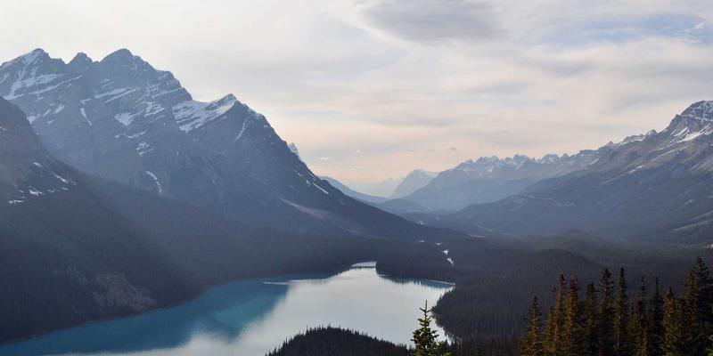 老旧小区改造新思路：社区公告与生活服务如何重塑便民生态